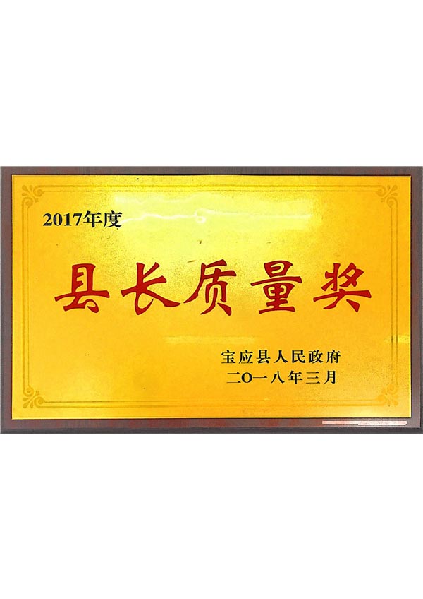  縣長質量獎
